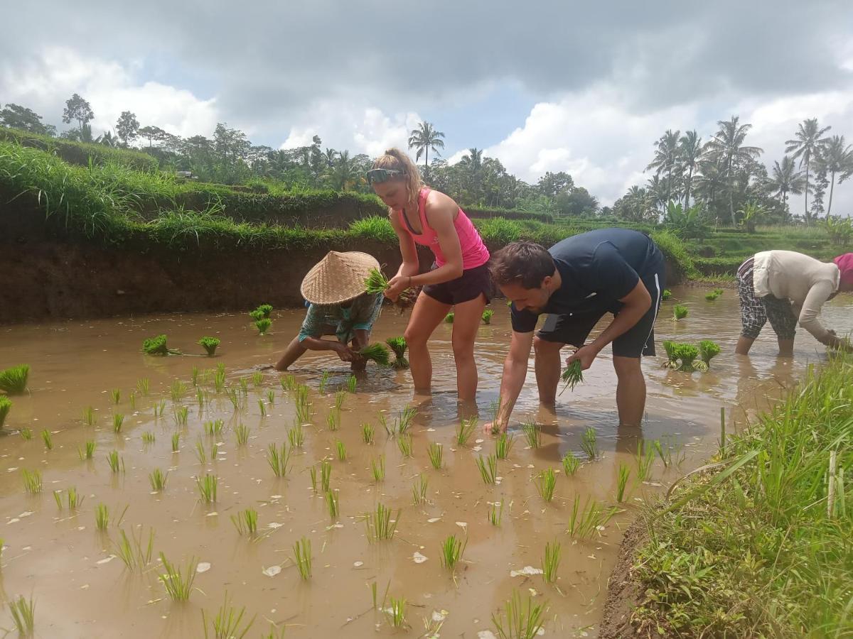 Privatunterkunft Girang Rinjani Tetebatu