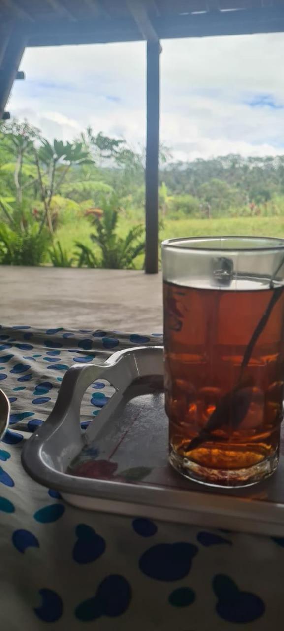 Girang Rinjani