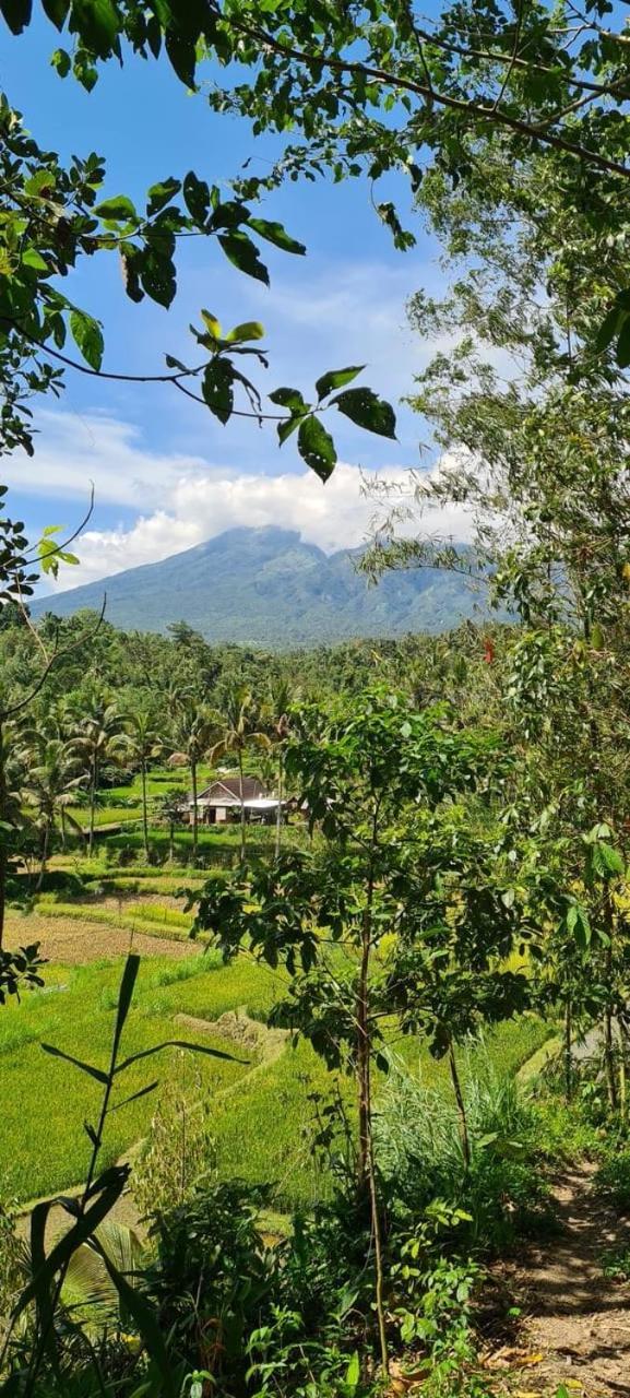 Girang Rinjani *