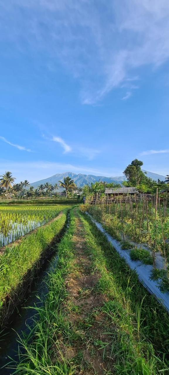 Girang Rinjani Privatunterkunft