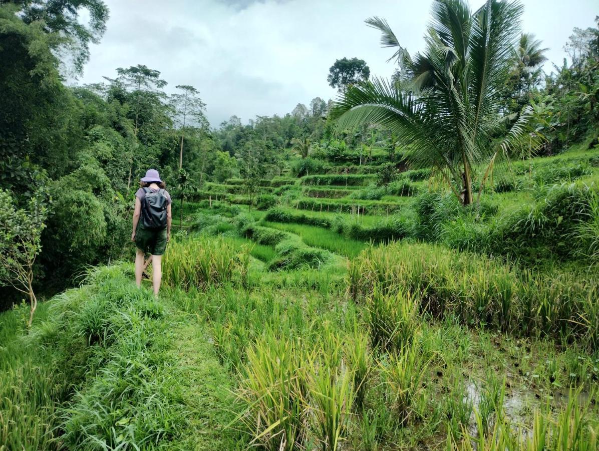 Girang Rinjani *