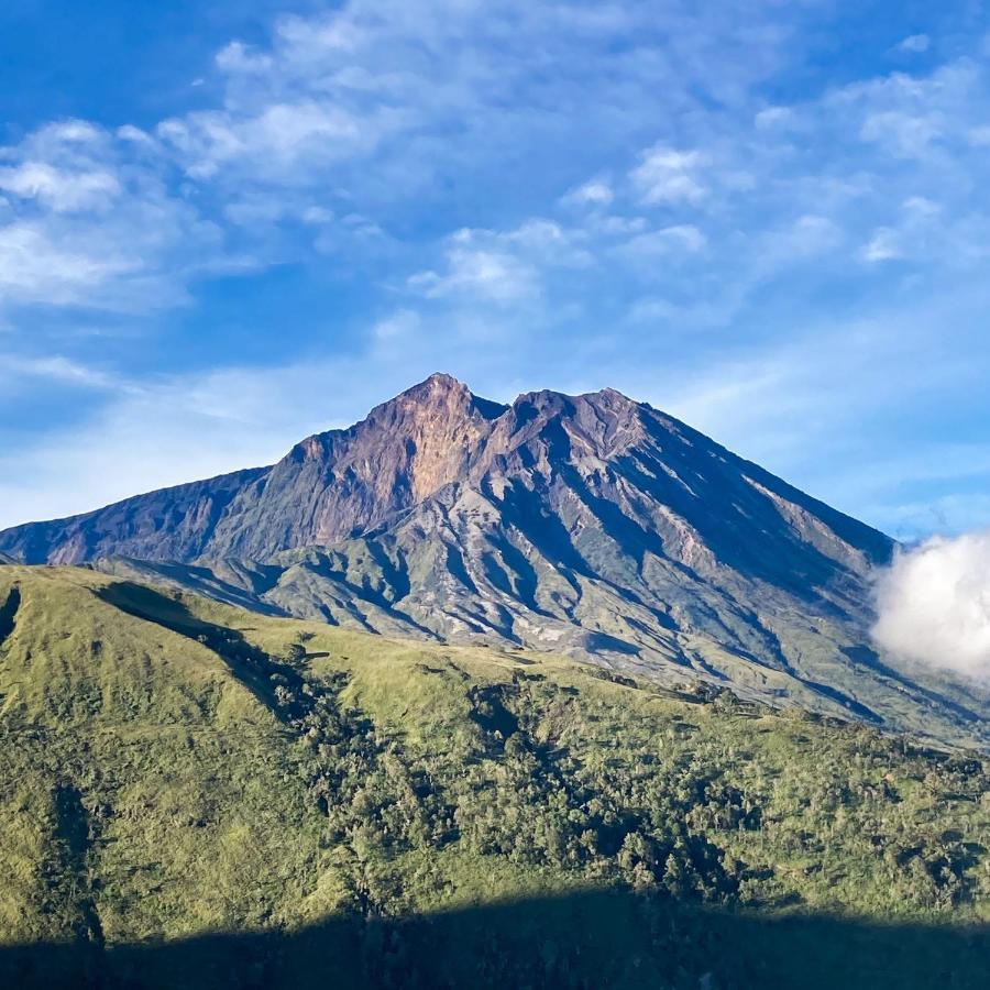 Homestay Girang Rinjani
