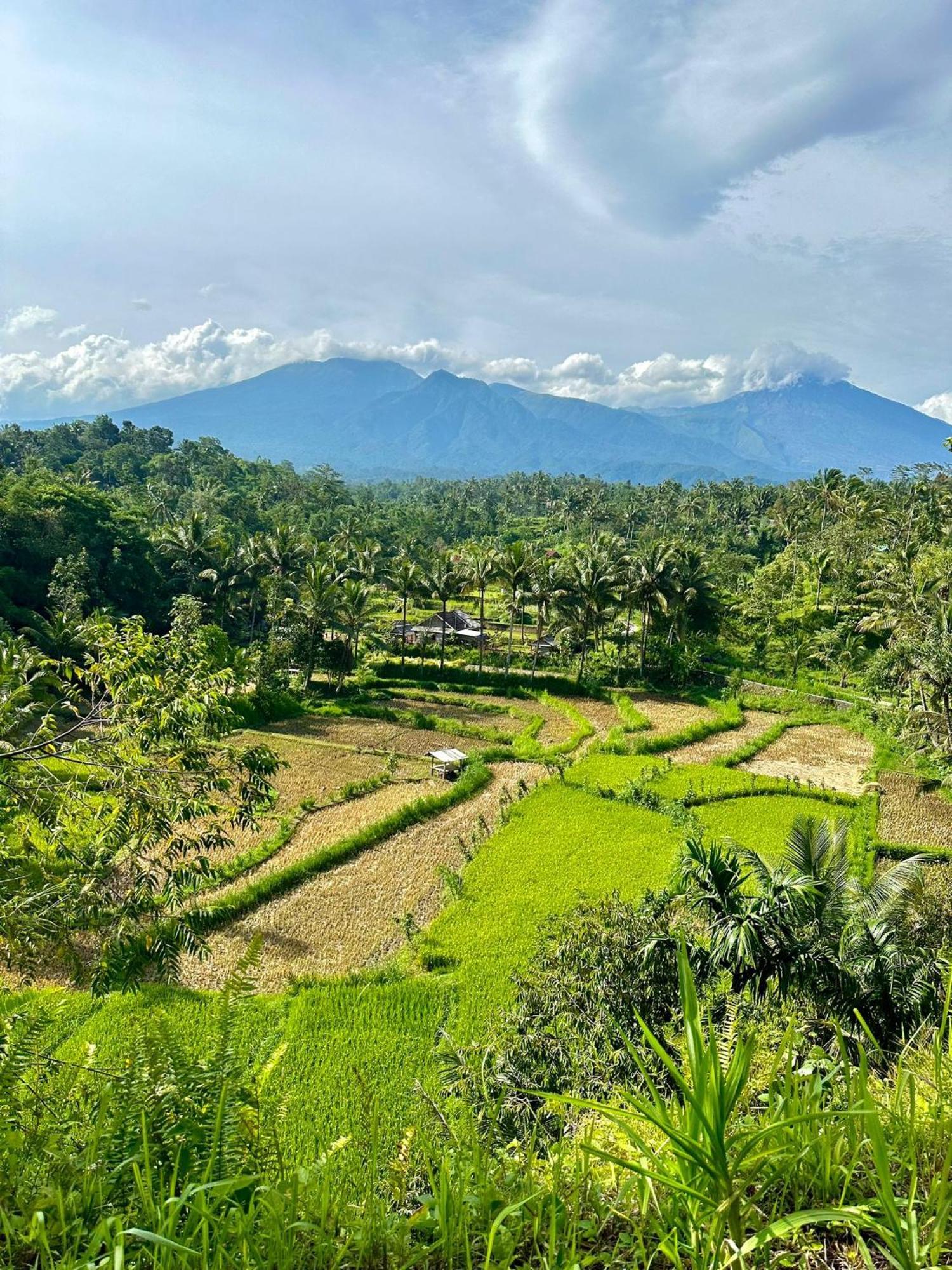 Girang Rinjani Homestay Tetebatu