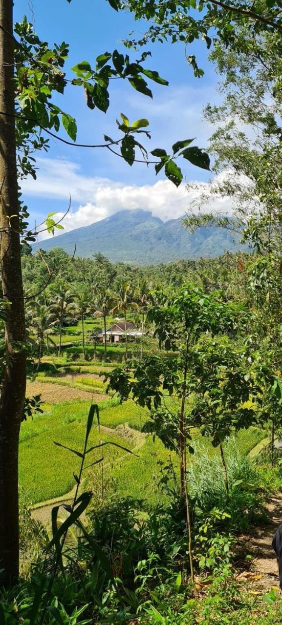 Girang Rinjani