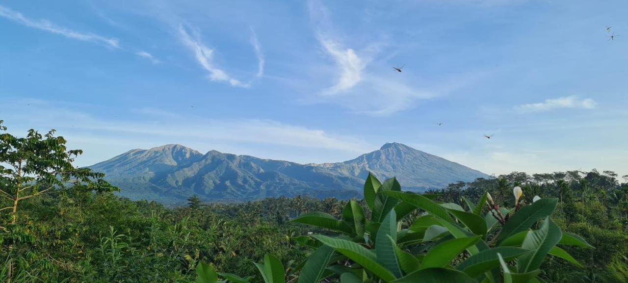 Homestay Girang Rinjani *